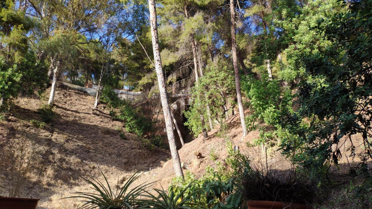Fabulosa Casa Del Arbol Málaga Kültér fotó